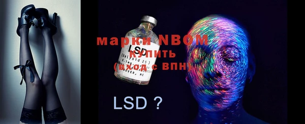 a pvp Алзамай